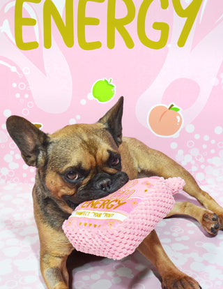 P.Louise Bad B*tch Honden Speelgoed