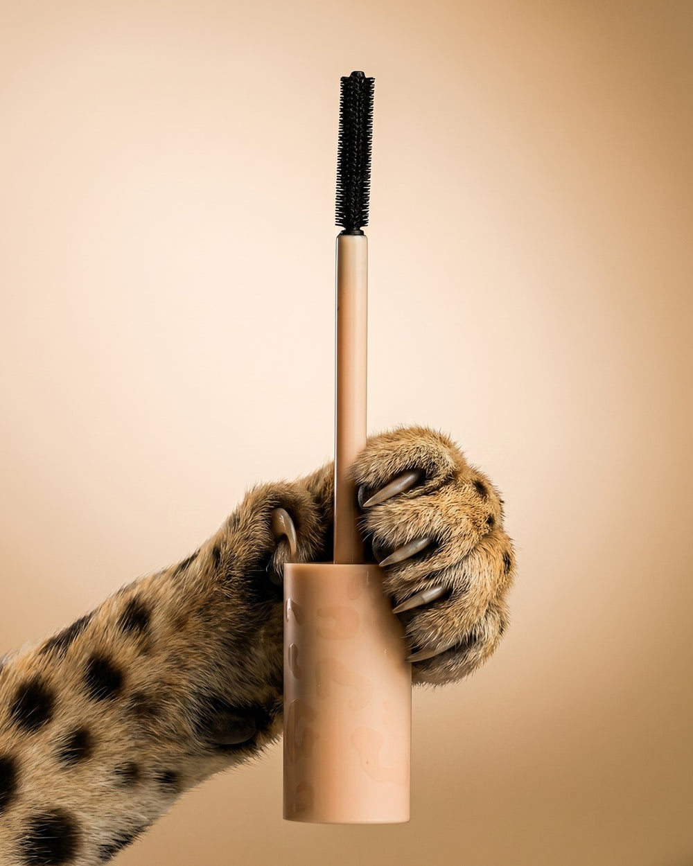 Cheetah make-upset