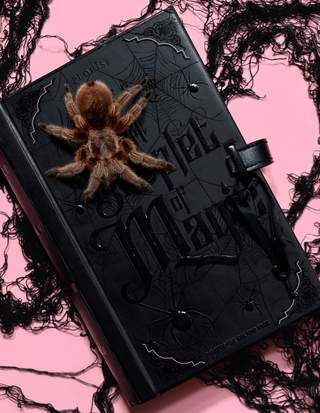 Halloween Makeup Products