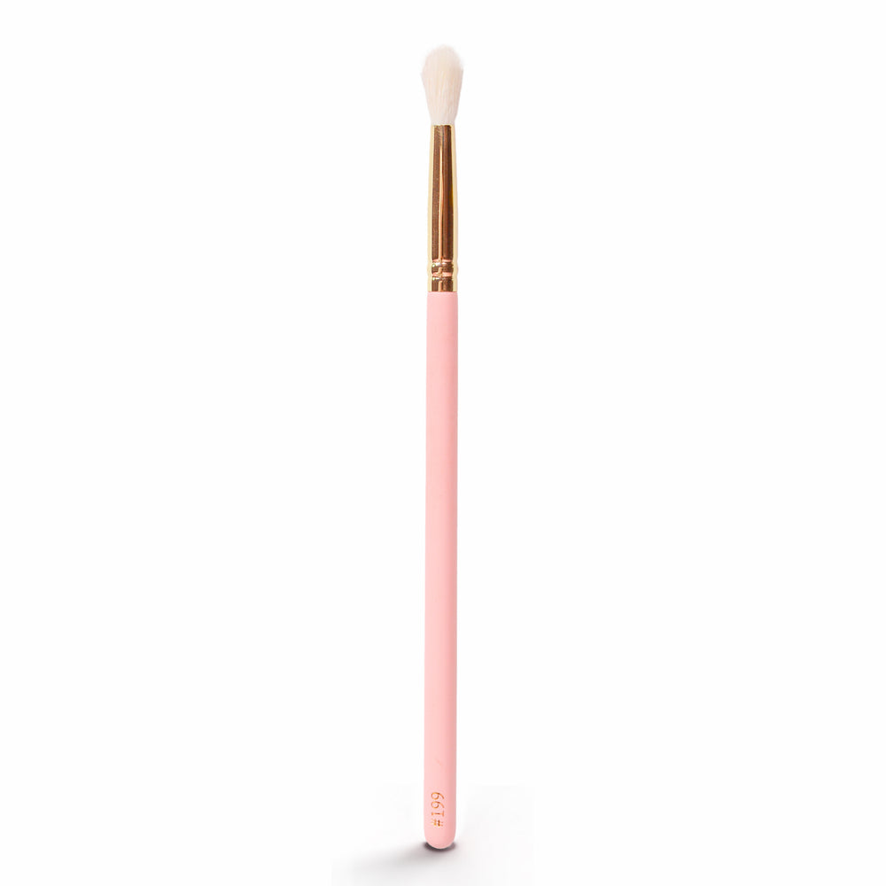 #199 Blending Brush