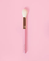 F70 Face Brush