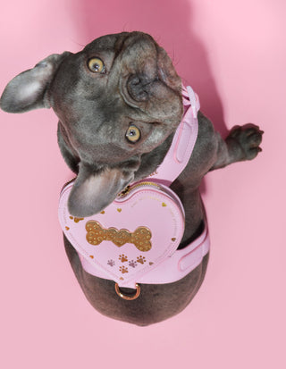 P.Louise Hondenharnas Rugzak